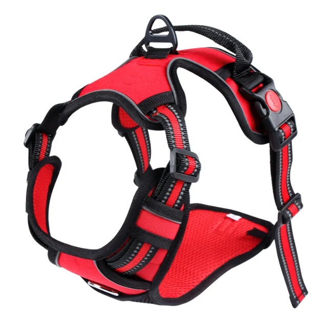 Oxford Pet Vest & Leash