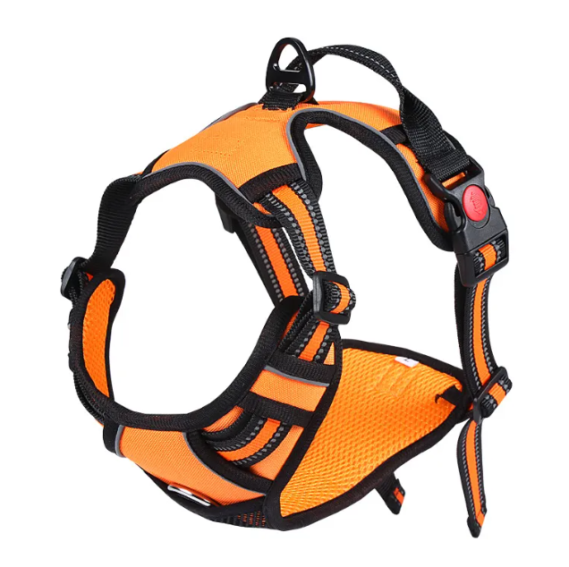 Oxford Pet Vest & Leash