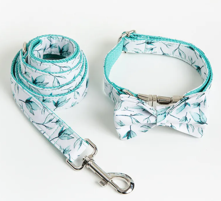 Leash & Collar Set