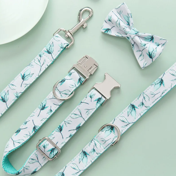 Leash & Collar Set