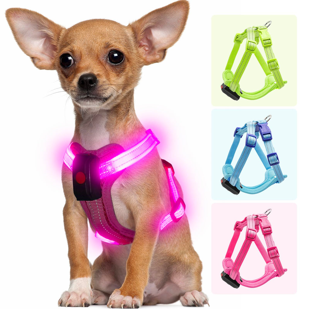 Light Up Dog Harness for Small Dogs