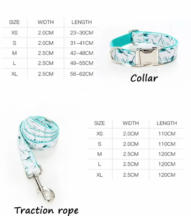 Leash & Collar Set