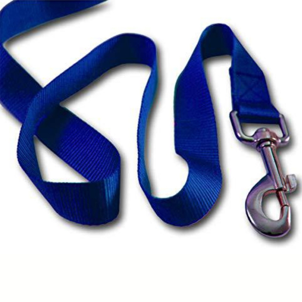 Retractable Leash