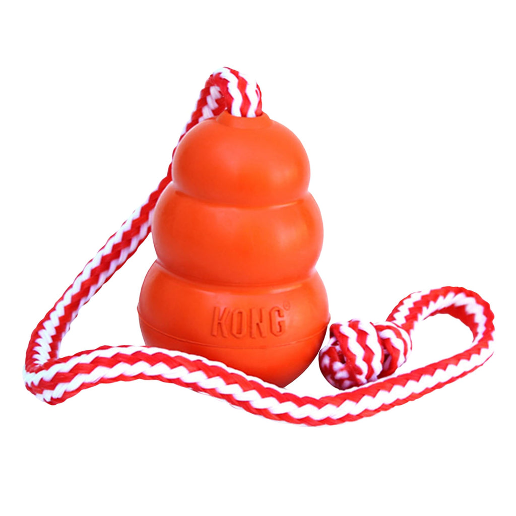 KONG Aqua Floating Fetch Dog Toy