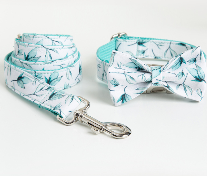 Leash & Collar Set