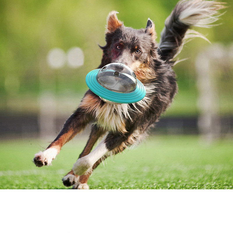 Palla giocattolo IQ per cani con erogatore di crocchette