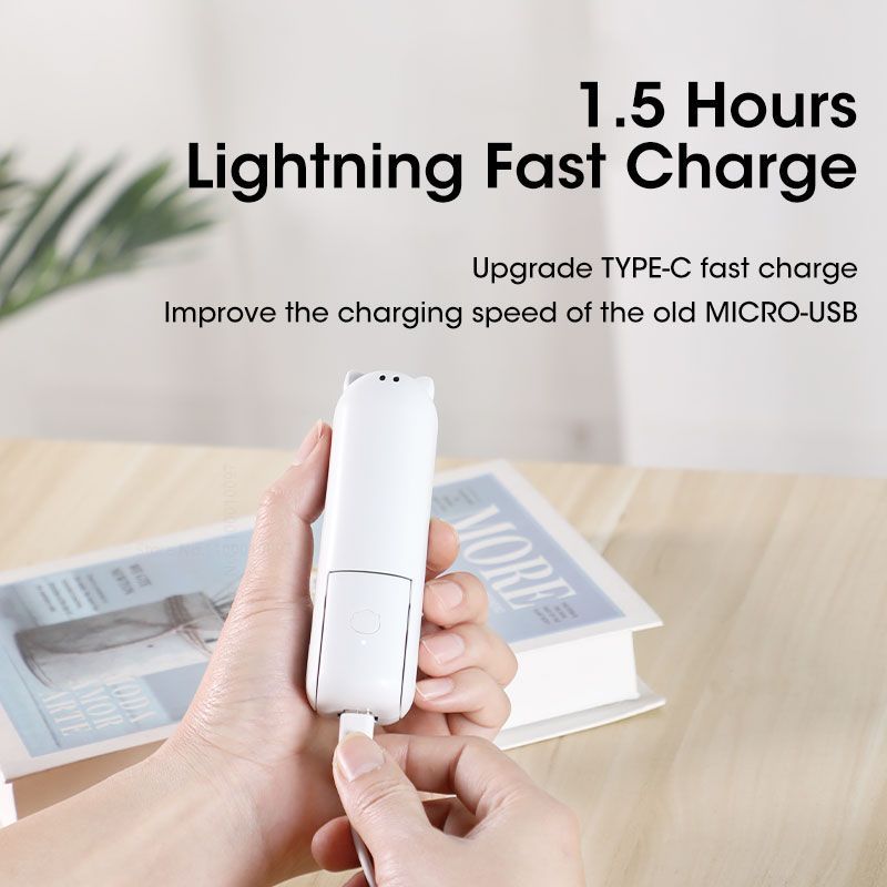 Hand-Held Fan