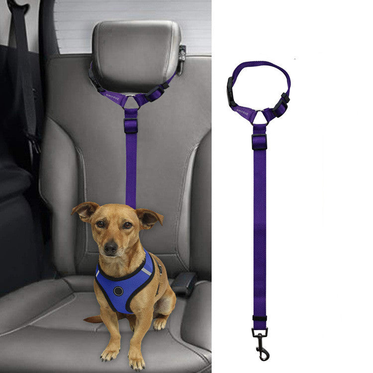 Backseat Pet Safety Leash