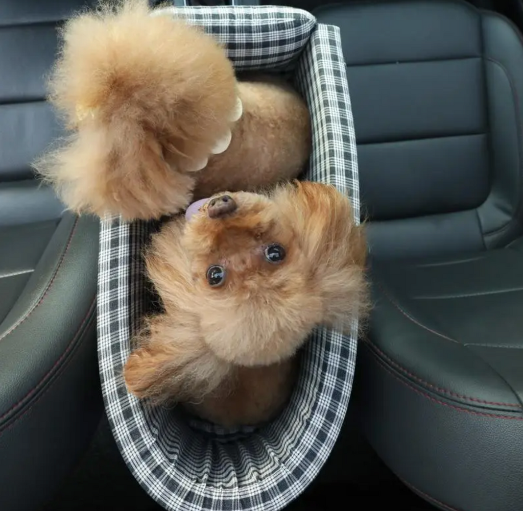 Portable Pet Car Booster