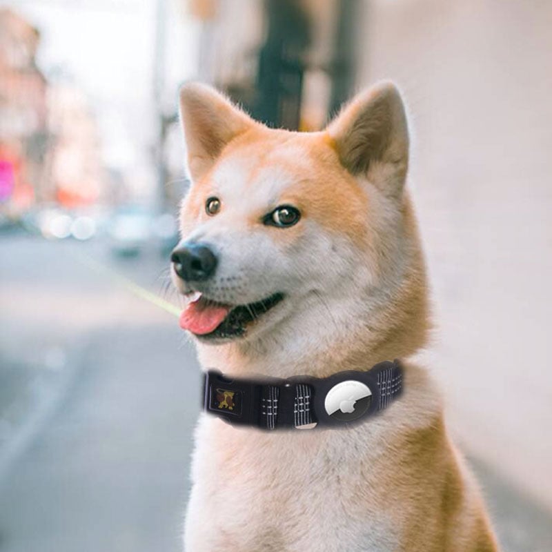 Mobile Phone Tracker Protector for Pet Products