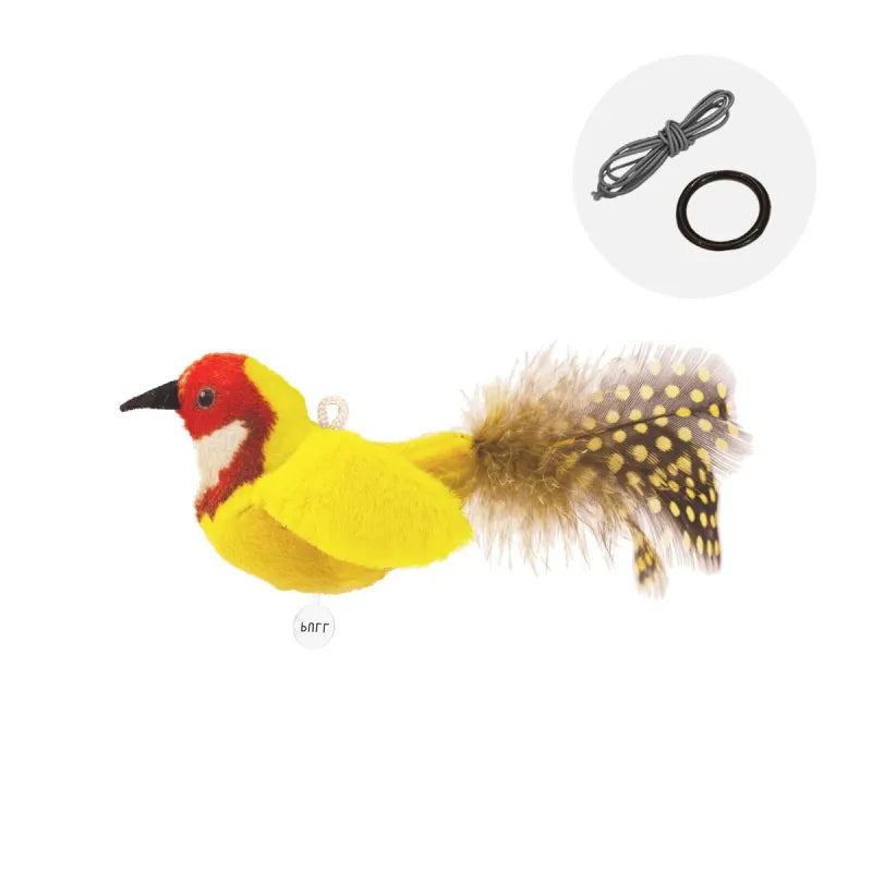 Bird Cat Toy