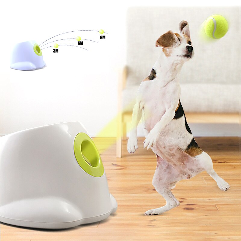 Lancia palline da tennis per cani