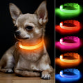 BSEEN Light Up Dog Collars
