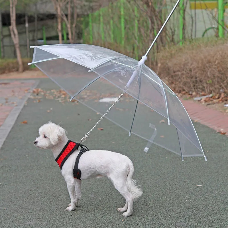 Puppy Raincoat With Leash