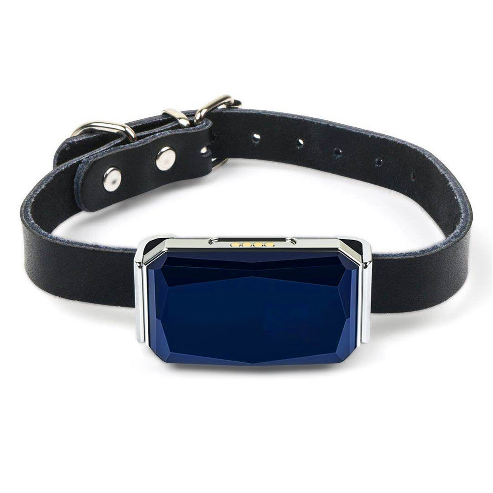 GPS-Halsband zur Ortung entlaufener Haustiere