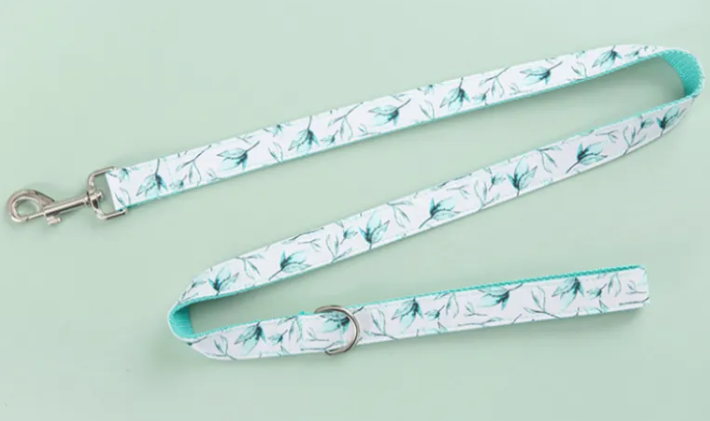 Leash & Collar Set