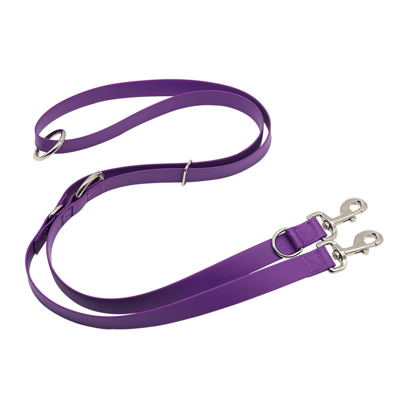 Dog Leash