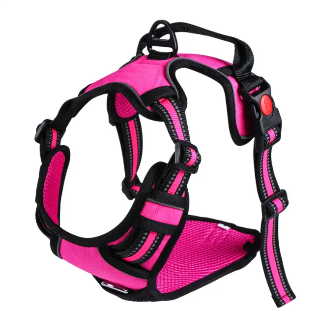 Oxford Pet Vest & Leash