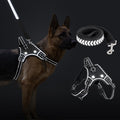LED Dog Harness