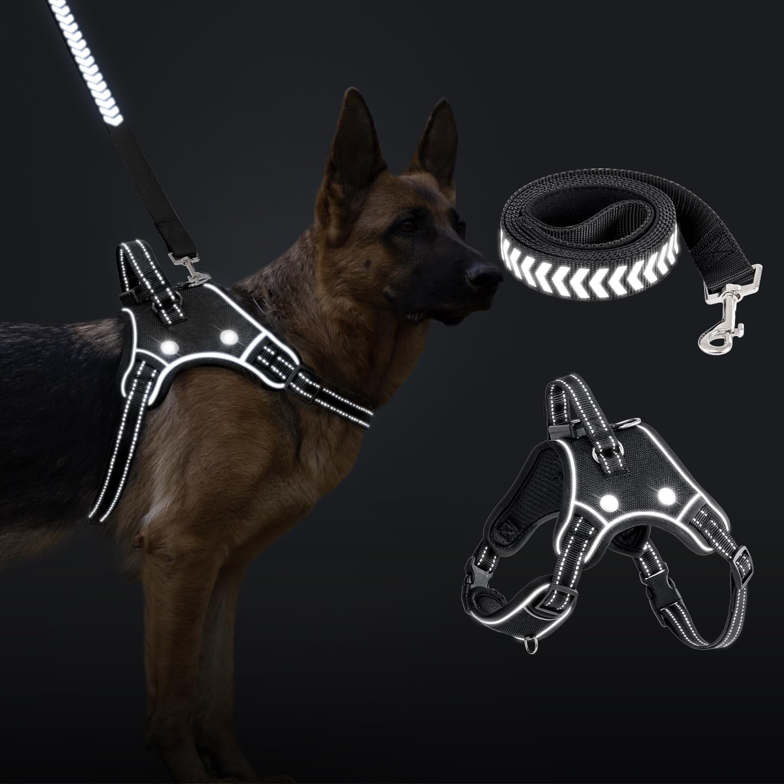 LED Dog Harness