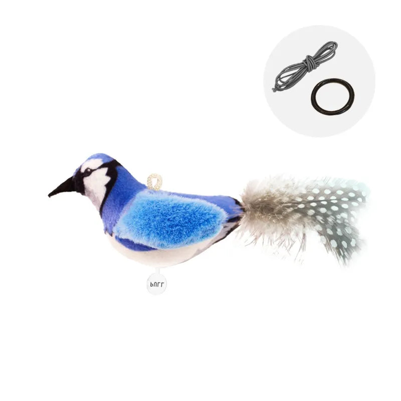 Bird Cat Toy