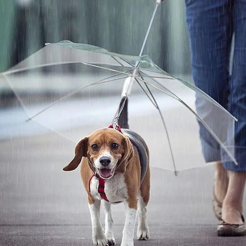 Puppy Raincoat With Leash