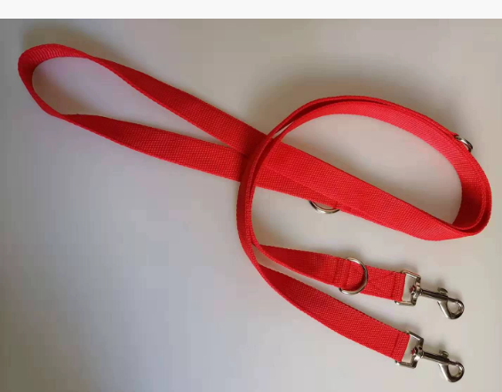 Dog Leash