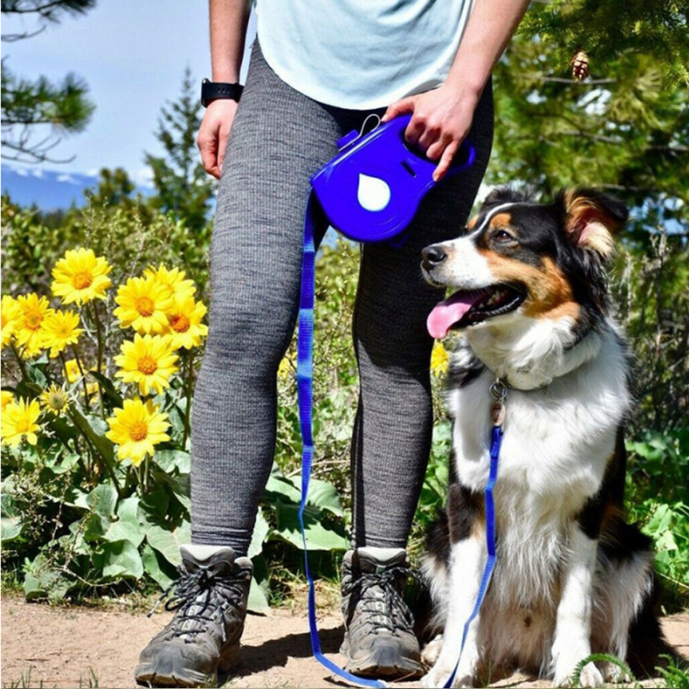 Retractable Leash