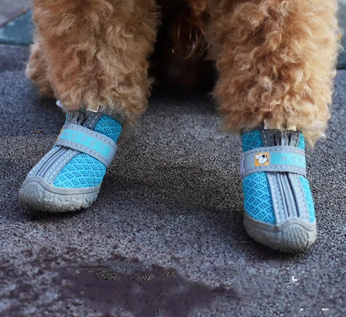 Haustierschuhe