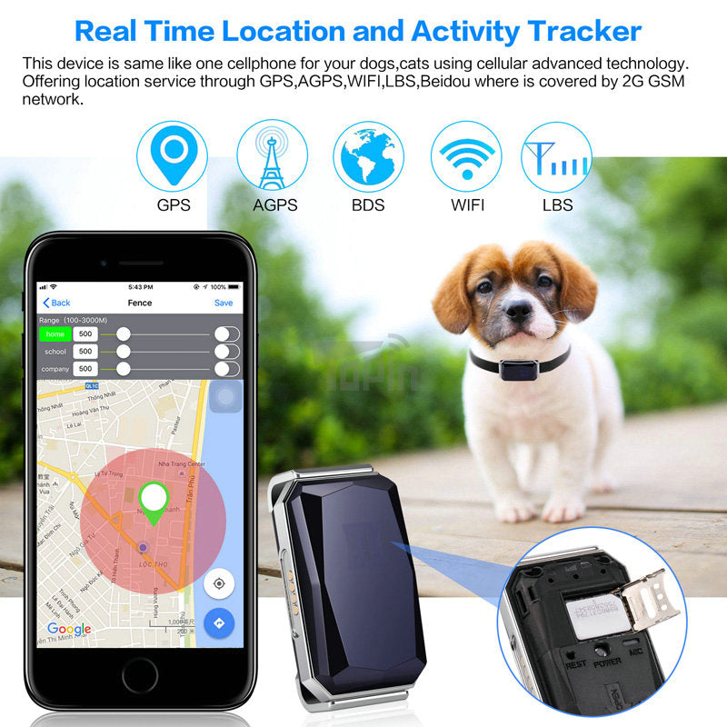 GPS-Halsband zur Ortung entlaufener Haustiere