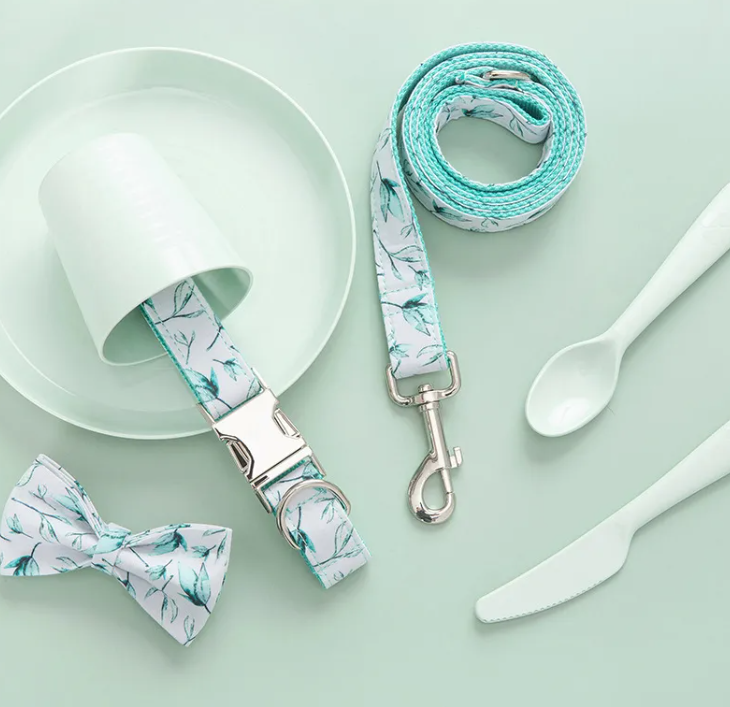 Leash & Collar Set
