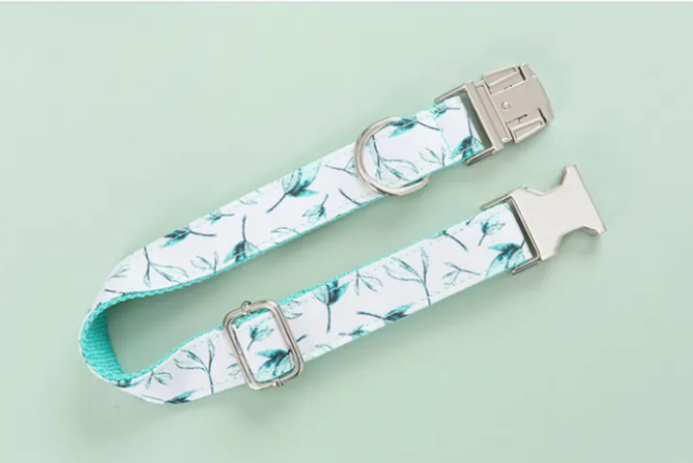 Leash & Collar Set
