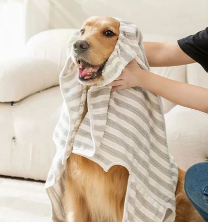 Asciugamano ultra assorbente per cani