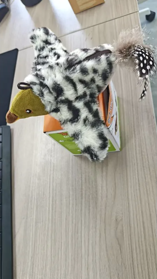 Giocattolo per animali domestici Uccello di peluche